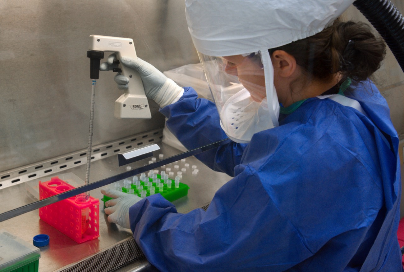 A scientist pipetting samples at a laboratory bench